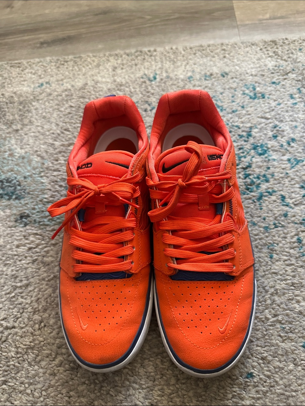 Nike Sb Ishod Sneakers